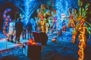 pumpkin patch at night