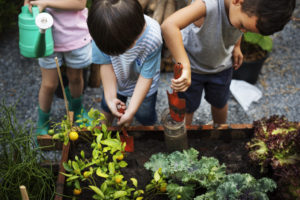 Kids planting crops